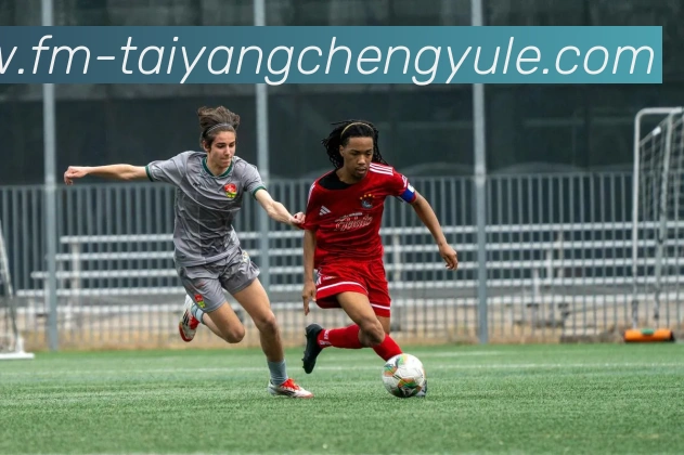 太阳城网站平台生态图